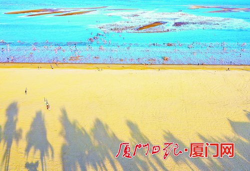 36.7℃!厦门昨迎今年第12个高温日 本周预计天天是高温