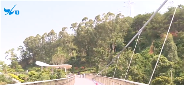 山海健康步道和美桥开放通行 从狐尾山走到仙岳山