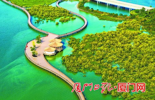 下潭尾滨海湿地公园二期拟建步行栈道  长度超一公里