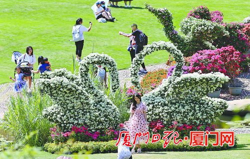 徜徉花海 厦门公园景区尽展高颜值生态花园之城魅力
