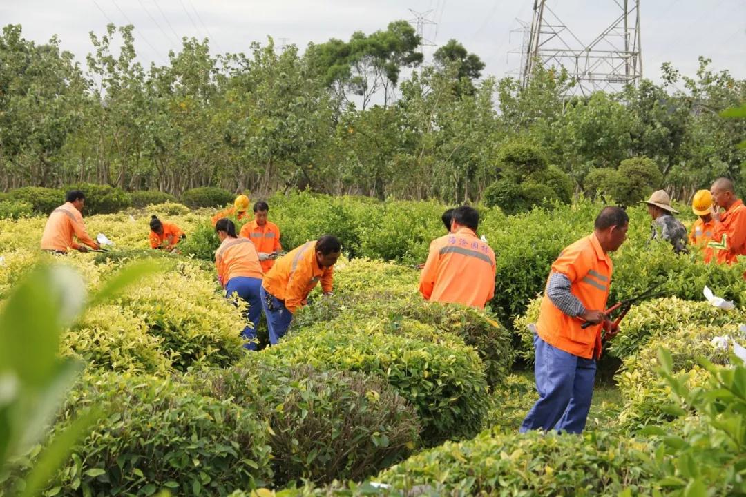 曝光!厦门这处公园里有人“沾花惹草”!