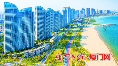 厦门新城建设者:践行跨岛发展 见证惊鸿巨变
