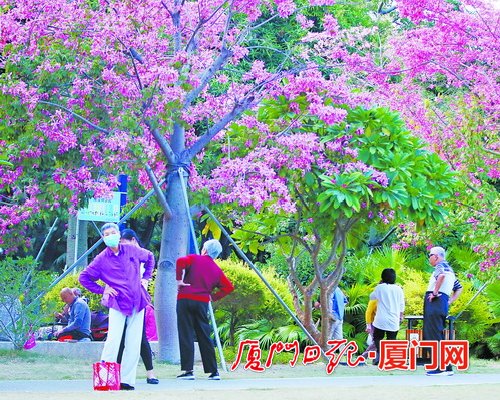 白天如初夏厦门今天最高气温为27℃ 周四可达28℃