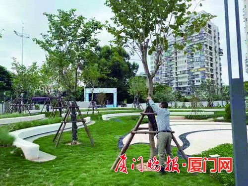 金尚路街边公园依地形建造 占地2575平总投100多万