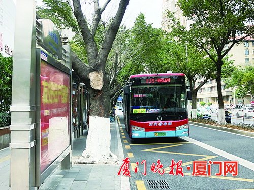 今天起943路终止运营 12月5日调整5条公交线路