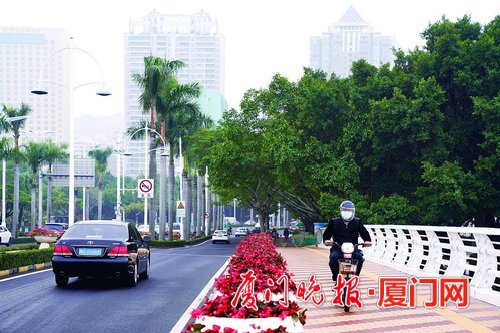 全新亮相!市府大道南北桥预计元旦前完成升级