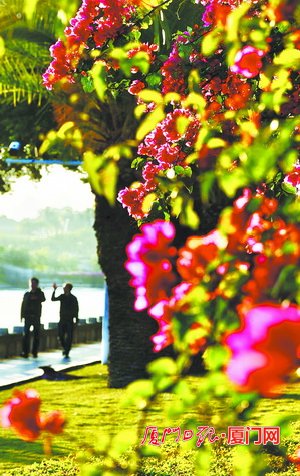 厦门好天气倒计时3天 寒潮今起“发货”最低温或至4℃