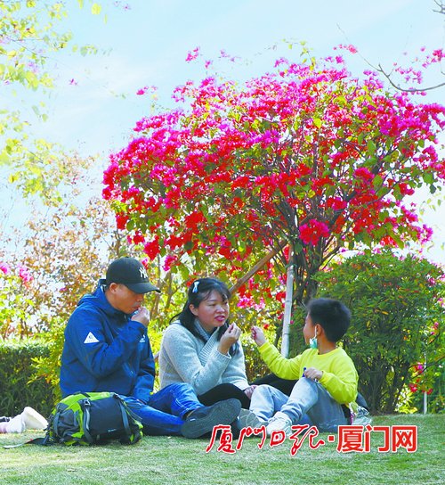 今起三天厦门气温逐日回升 最高温将升至19℃