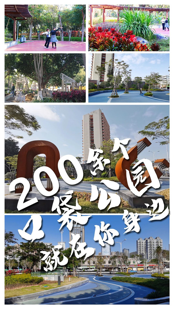 美!厦门有200多个口袋公园!家门口的高颜值刷屏了!
