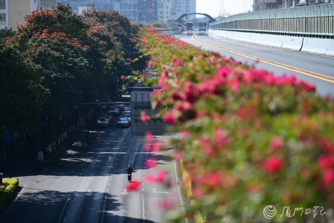 晴暖→降温→升温 最低温或降至11℃!下雨能安排上吗?