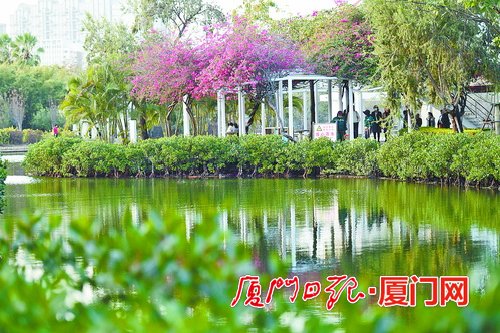 未来几天厦门以晴暖为主 新冷空气下周二或带来降雨