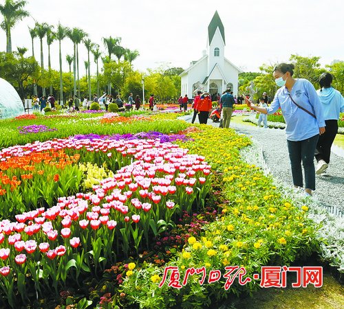 厦门之美!市民游客走进公园景区 亲近自然畅享绿色假期