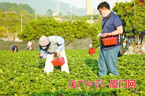 厦门今明晴好宜出游 气象部门提醒:明晚降温要添衣
