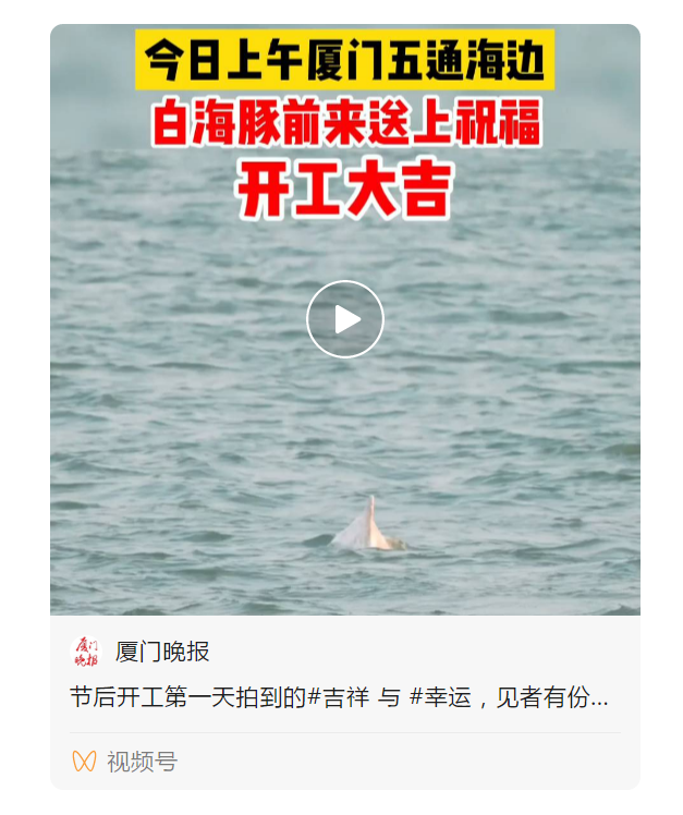 开工首日 五通海边TA又来了!今年第1号台风也生成了!