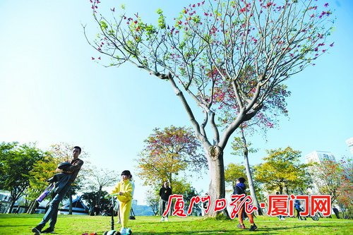 厦门今起暖意回归昼夜温差仍较大 22日最高温可达26℃