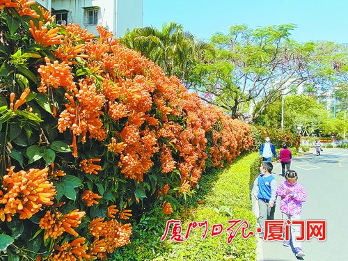 厦门今天最高温将升至26℃!明起陆续有两股冷空气来袭