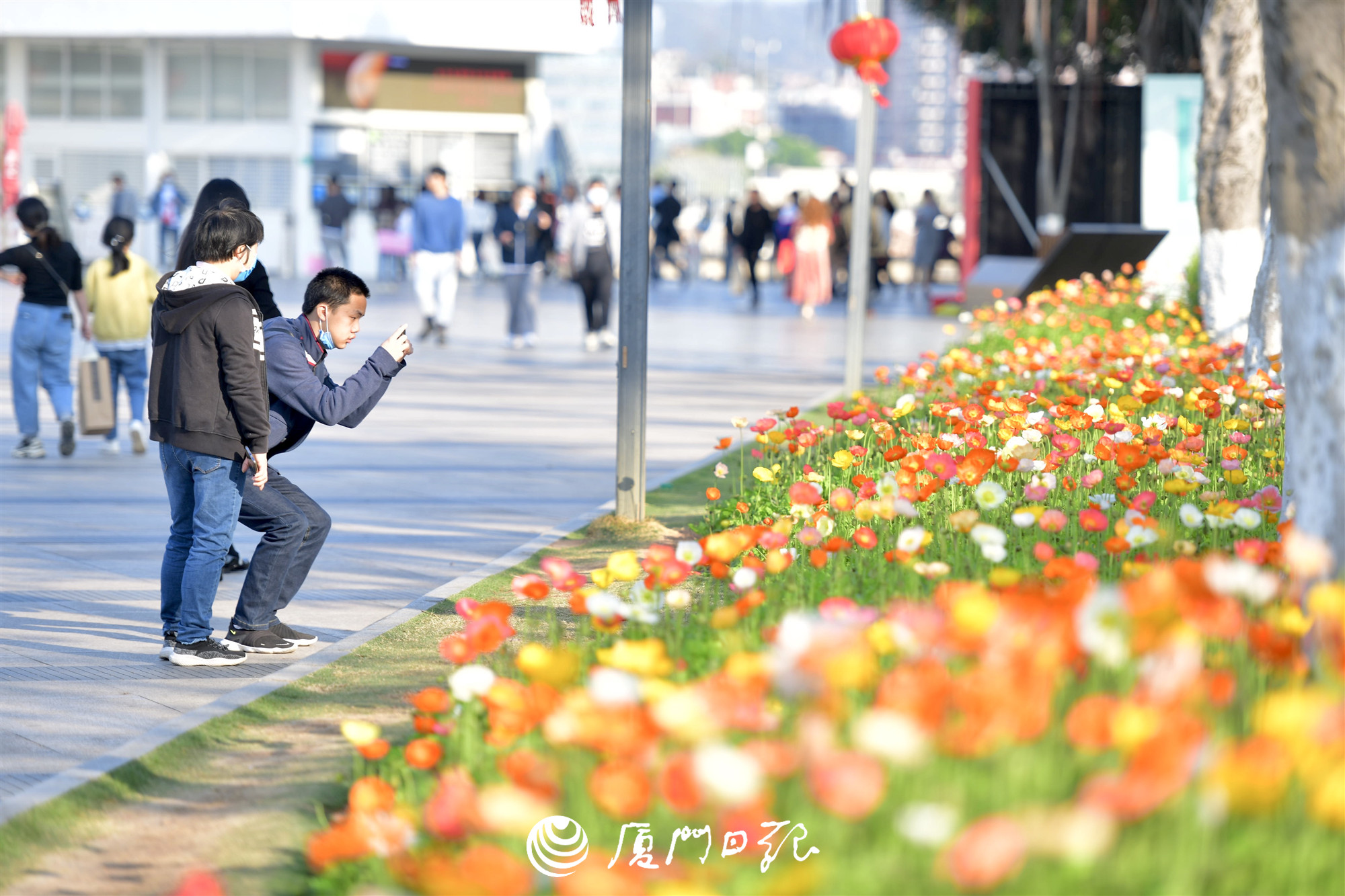 厦门元宵暖如夏赏月或遇雨 明日最高温将达27℃
