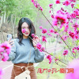 翔安九溪近千株桃花竞相绽放 让市民游客大饱眼福