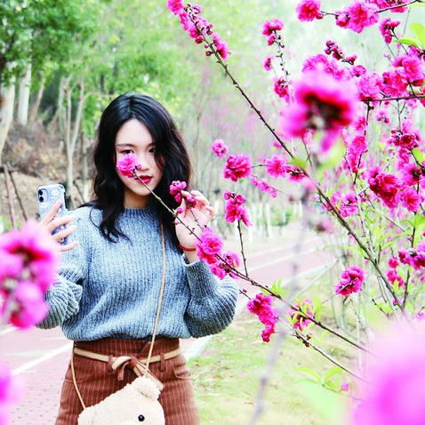 翔安九溪上游“十里桃林” 花期将持续至本月中旬
