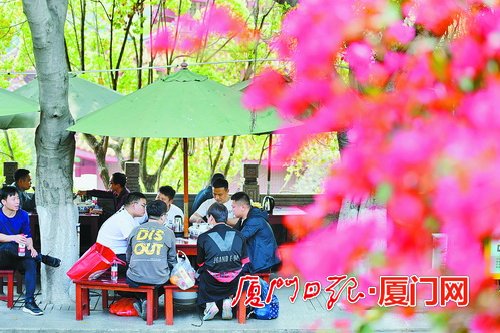 厦门天气晴暖舒适 未来几天最高温超25℃