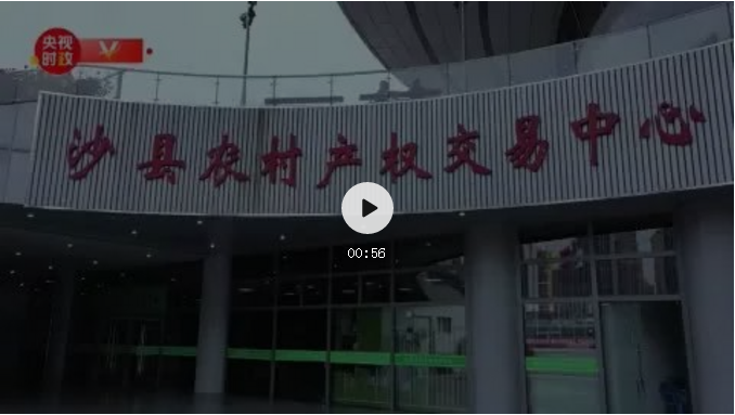 习近平福建行丨走进沙县农村产权交易中心看“林改”