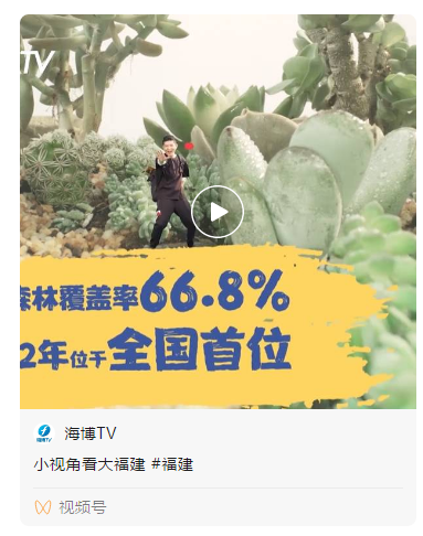 创意短视频丨小视角看“大”福建