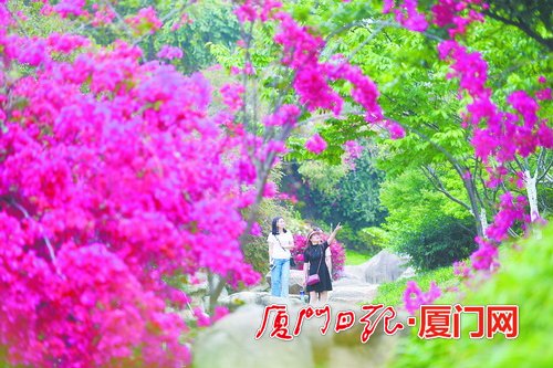厦门今明暖湿后天降温 大雾天气会频频出现