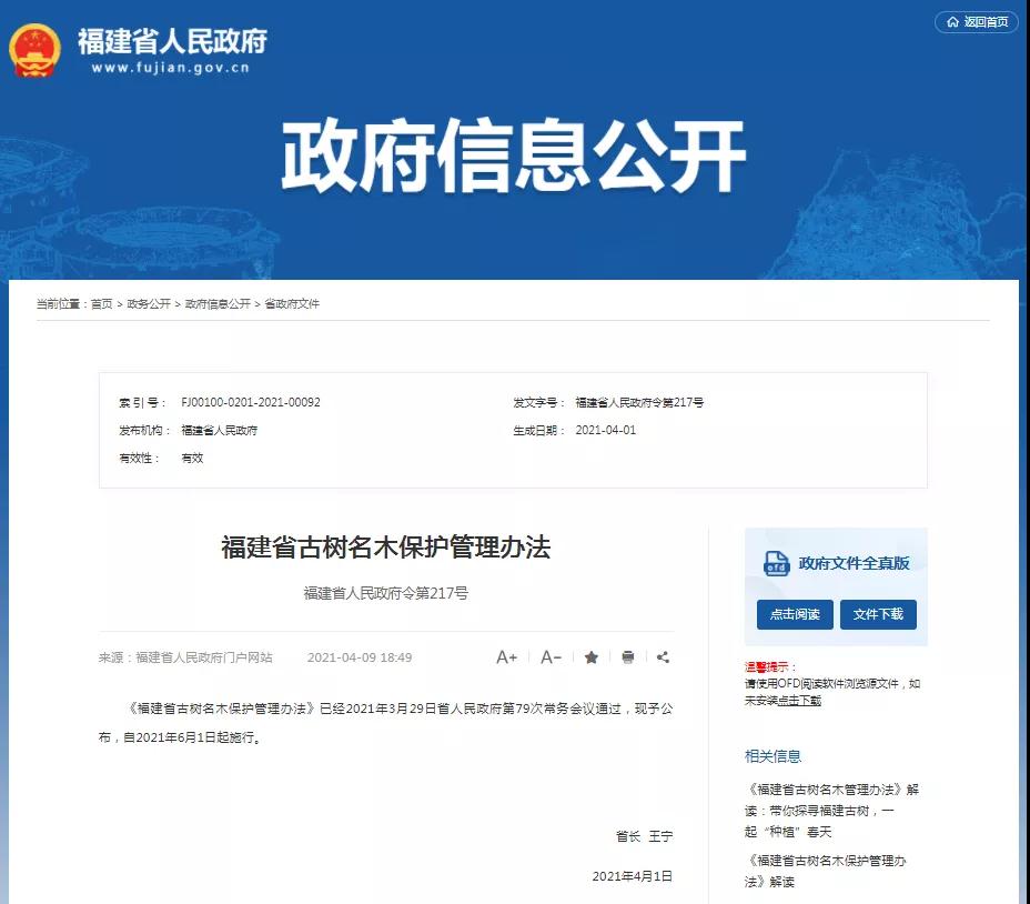 动真格!福建6月起施行!最高罚2万元!