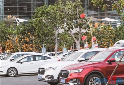 “五一”假期厦门租车市场预订火爆 热门车型一车难求
