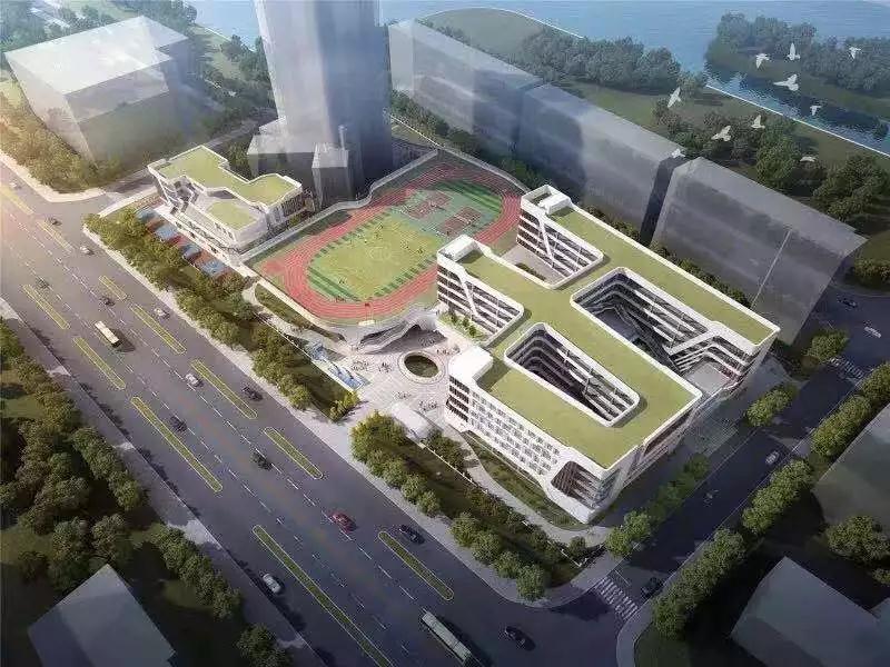 市教科院附小、深田小学拟划片方案公布!一校多校划片