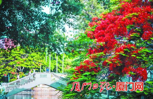 厦门今明将有降雨可享短暂清凉 未来几天气温总体较高
