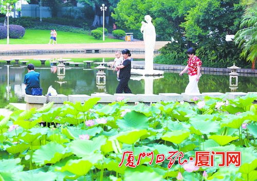 弱冷空气送清凉 6日厦门天气好转 高考或迎好天气