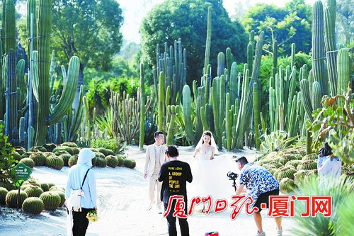 植物园多肉植物区提升改造 两座多肉展馆茁壮“成长”