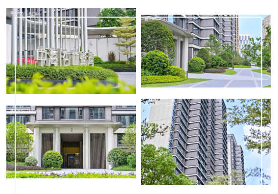 厦门楼市再现爆款小户型 买房人的机会来了!