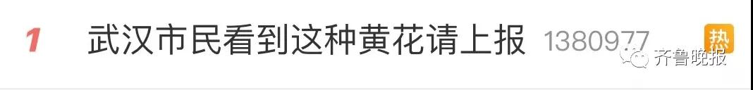 此花别采别种 看到请上报!厦门曾围剿