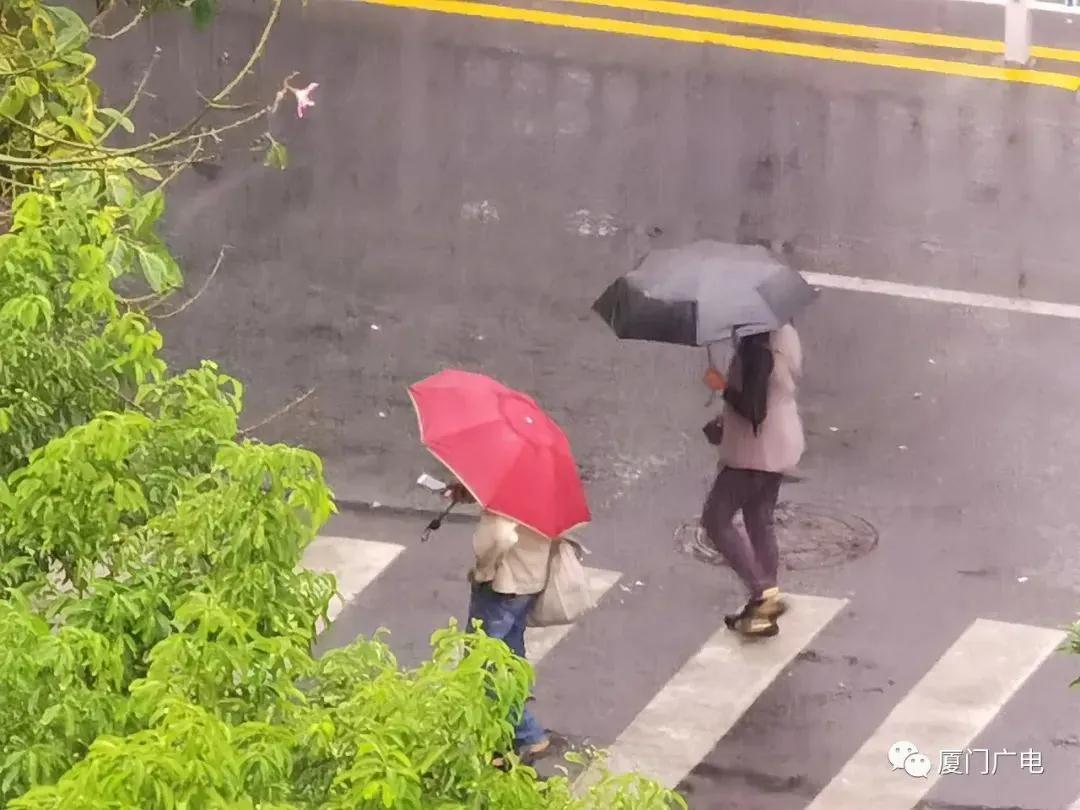 警报!警报!厦门连降3天~