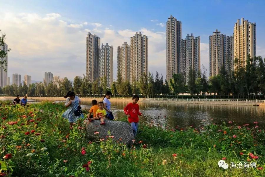 海沧区2021年全面深化改革总体成效系列报道之六:党建引领聚合力 绿水青山亮底色