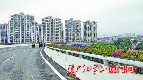 更顺畅!集美大道BRT上跨沈海高速 跨线桥梁改善提升