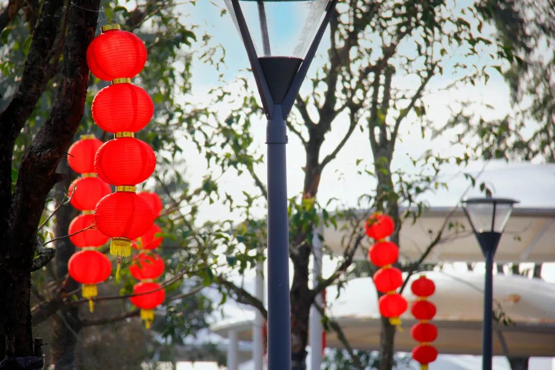 春节好去处!海沧首个山地“口袋公园”来了!