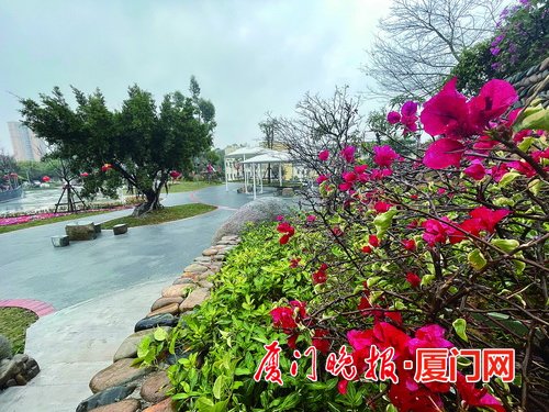 海沧首个山地口袋公园建成投用 可登高俯瞰海沧生活区