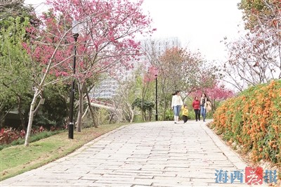 大屏山郊野公园樱花绽放 天竺山千株玉兰花将迎盛放期