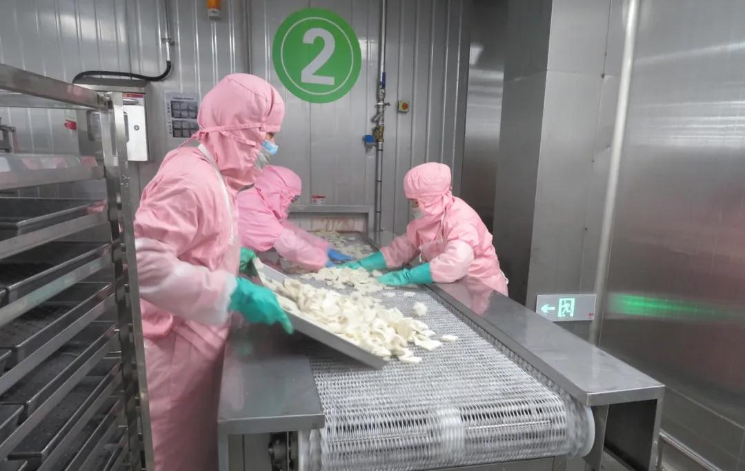 小小鱼丸跑出“开门红”!苏炳添代言的菜到底有多快