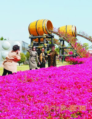 有颜有内涵!马銮湾生态三岛公园试开放 占地超19万平