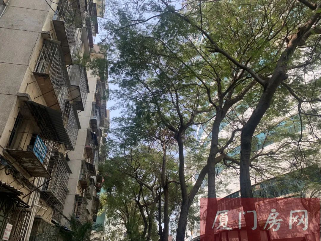 实探房龄超30年老破小!地段超能打 中介却劝我别买