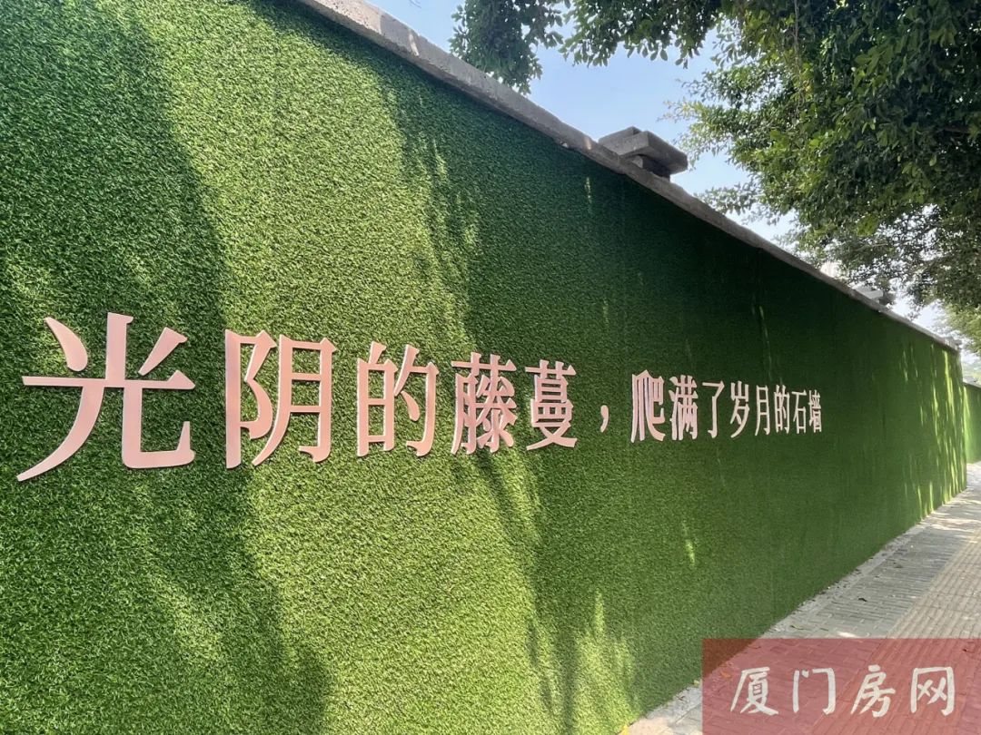 单价逼近10万!厦门这的豪宅真的太飒了!