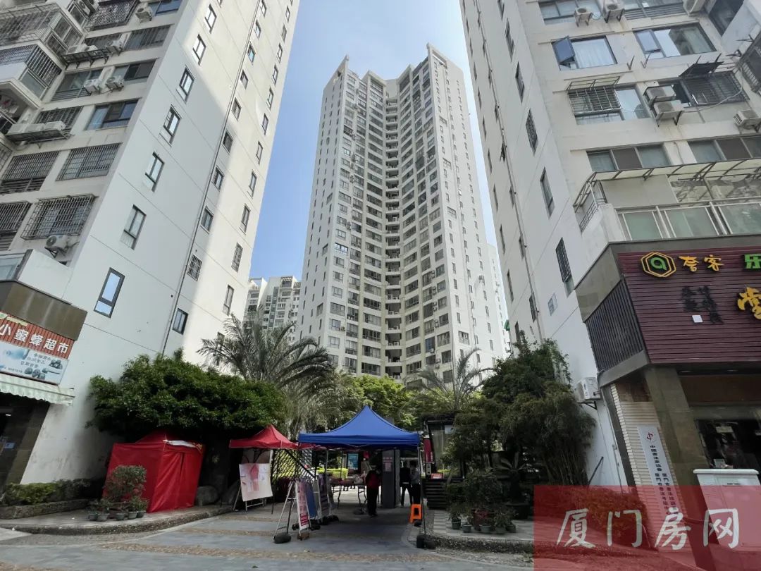 价差1万/㎡!最快1天成交!中介直言:厦门这不愁卖