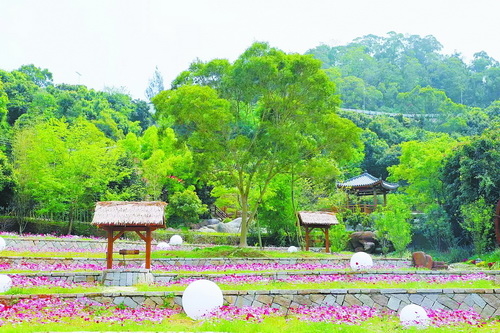 打造厦门版“桃花源” 东坪山四号景点正式对外开放