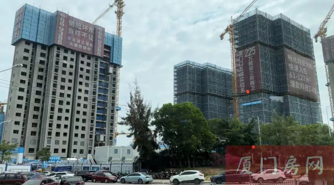 总价2字头 厦门这个81㎡神户型 看完忍不住要刷卡!