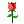 �ʻ�